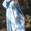 The bleu daisy dress